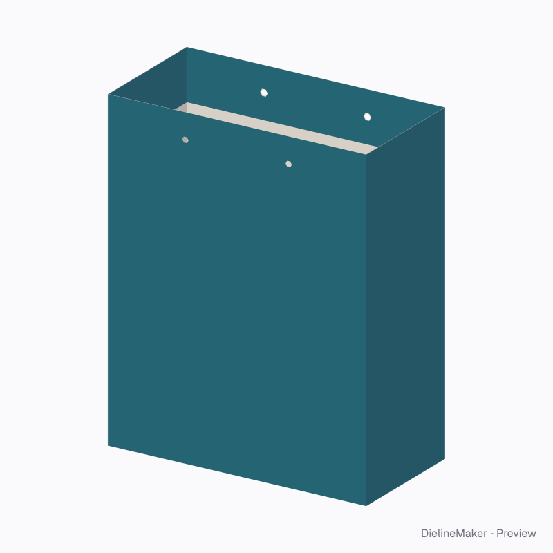 Medium gift bag