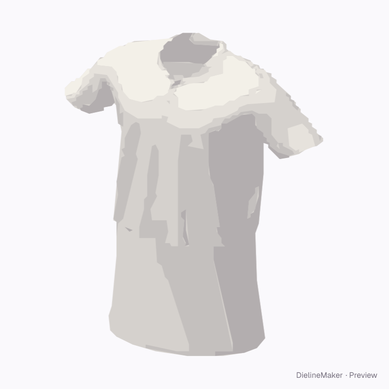 Polo dress