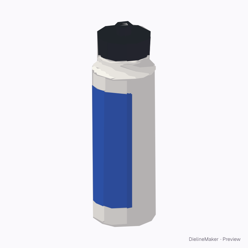 Large sports bottle